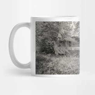 Vanishing Mug